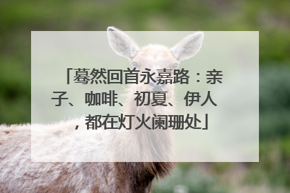 蓦然回首永嘉路：亲子、咖啡、初夏、伊人，都在灯火阑珊处