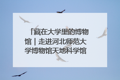 藏在大学里的博物馆｜走进河北师范大学博物馆天地科学馆：在校园里赴一场“宇宙之约”
