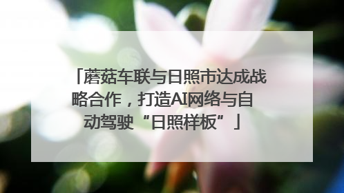蘑菇车联与日照市达成战略合作，打造AI网络与自动驾驶“日照样板”