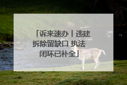 诉来速办丨违建拆除留缺口 执法闭环已补全