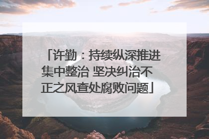 许勤：持续纵深推进集中整治 坚决纠治不正之风查处腐败问题