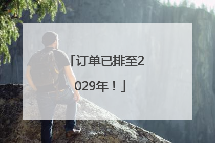 订单已排至2029年！