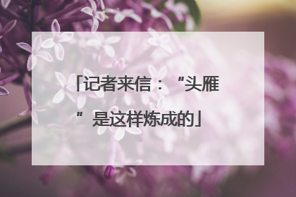 记者来信：“头雁”是这样炼成的