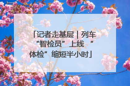 记者走基层｜列车“智检员”上线 “体检”缩短半小时