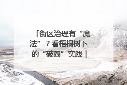 街区治理有“魔法”？看梧桐树下的“破圈”实践｜我在街区当书记