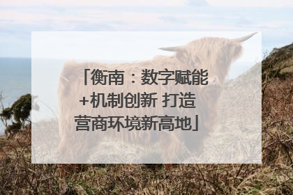 衡南：数字赋能+机制创新 打造营商环境新高地