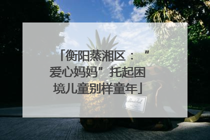 衡阳蒸湘区：“爱心妈妈”托起困境儿童别样童年