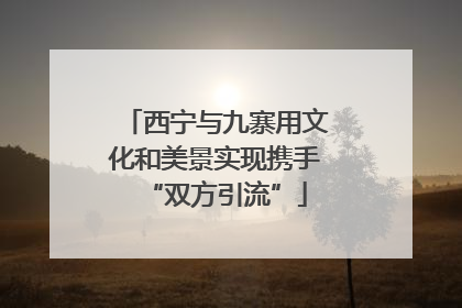 西宁与九寨用文化和美景实现携手“双方引流”