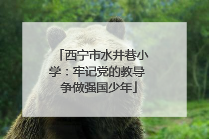 西宁市水井巷小学：牢记党的教导 争做强国少年