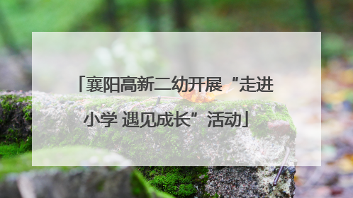 襄阳高新二幼开展“走进小学 遇见成长”活动