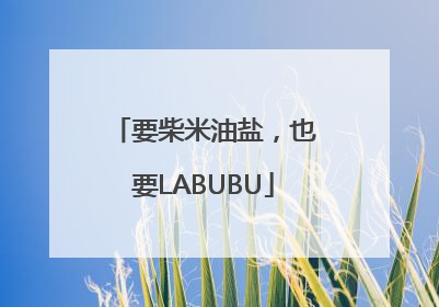 要柴米油盐，也要LABUBU