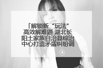 解锁新“玩法” 高效解难题 湖北长阳土家族自治县综治中心打造矛盾纠纷调处“终点站”