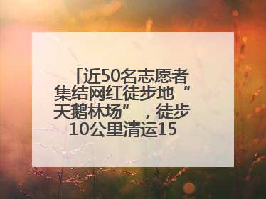 近50名志愿者集结网红徒步地“天鹅林场”，徒步10公里清运150余斤山野垃圾