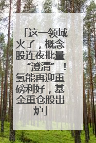 这一领域火了，概念股连夜批量“澄清”！氢能再迎重磅利好，基金重仓股出炉