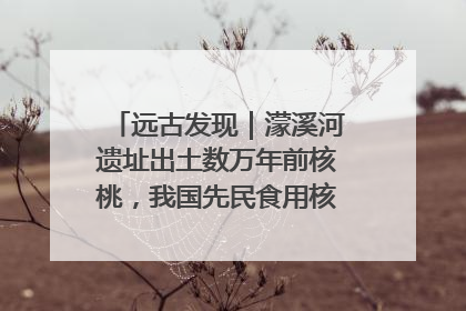 远古发现｜濛溪河遗址出土数万年前核桃，我国先民食用核桃历史大幅提前