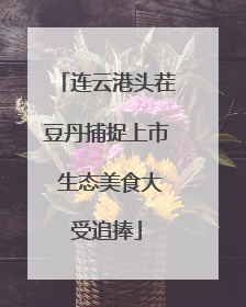 连云港头茬豆丹捕捉上市 生态美食大受追捧