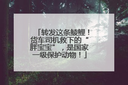 转发这条鲮鲤！货车司机救下的“胖宝宝”，是国家一级保护动物！