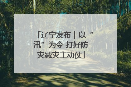 辽宁发布｜以“汛”为令 打好防灾减灾主动仗