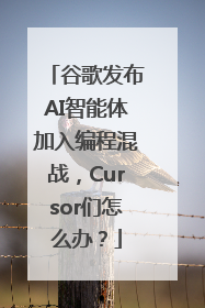 谷歌发布AI智能体加入编程混战，Cursor们怎么办？