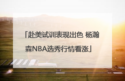 赴美试训表现出色 杨瀚森NBA选秀行情看涨