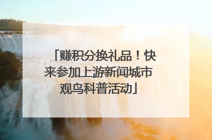 赚积分换礼品！快来参加上游新闻城市观鸟科普活动