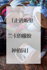 走进斯里兰卡的橡胶种植园