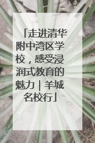 走进清华附中湾区学校，感受浸润式教育的魅力｜羊城名校行