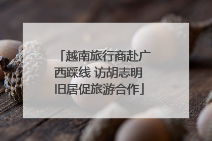 越南旅行商赴广西踩线 访胡志明旧居促旅游合作