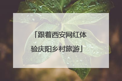 跟着西安网红体验庆阳乡村旅游