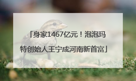身家1467亿元！泡泡玛特创始人王宁成河南新首富