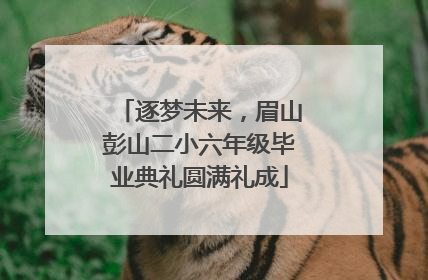 逐梦未来，眉山彭山二小六年级毕业典礼圆满礼成