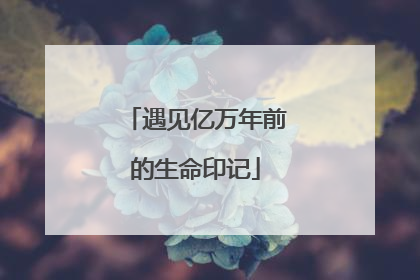 遇见亿万年前的生命印记