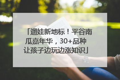 遛娃新地标！平谷南瓜嘉年华，30+品种让孩子边玩边涨知识