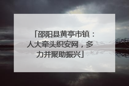 邵阳县黄亭市镇：人大牵头织安网，多力并聚助振兴