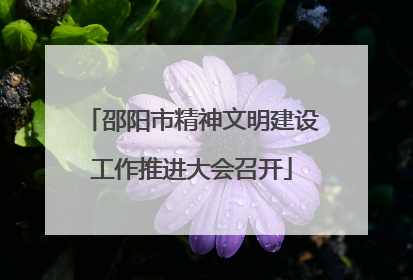 邵阳市精神文明建设工作推进大会召开
