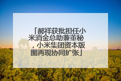 郝祥获批担任小米消金总助兼董秘，小米集团资本版图再现协同扩张