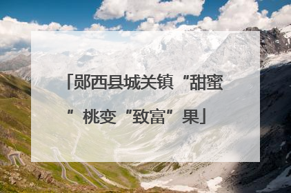 郧西县城关镇“甜蜜”桃变“致富”果