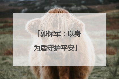 郭保军：以身为盾守护平安