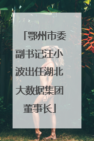 鄂州市委副书记汪小波出任湖北大数据集团董事长