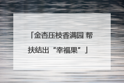 金杏压枝香满园 帮扶结出“幸福果”