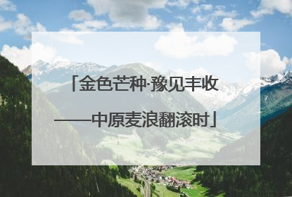 金色芒种·豫见丰收——中原麦浪翻滚时