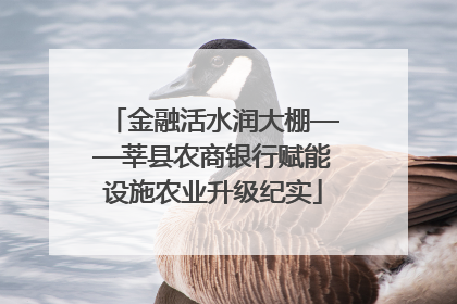 金融活水润大棚——莘县农商银行赋能设施农业升级纪实