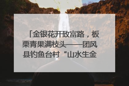 金银花开致富路，板栗青果满枝头——团风县钓鱼台村“山水生金”谱写共富新篇章