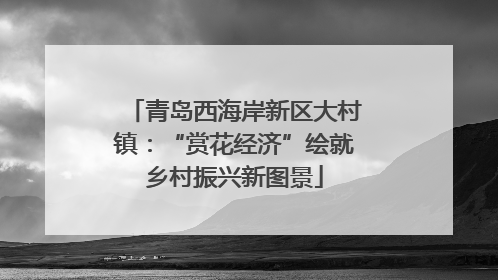 青岛西海岸新区大村镇：“赏花经济”绘就乡村振兴新图景