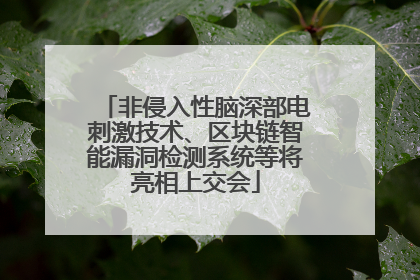 非侵入性脑深部电刺激技术、区块链智能漏洞检测系统等将亮相上交会
