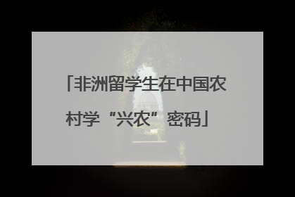 非洲留学生在中国农村学“兴农”密码