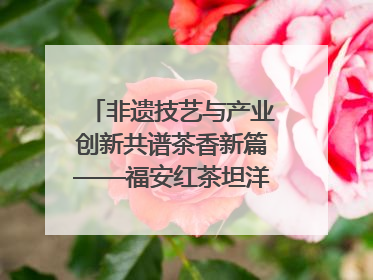 非遗技艺与产业创新共谱茶香新篇——福安红茶坦洋工夫专场推介会在京举办