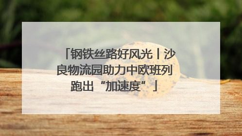 钢铁丝路好风光丨沙良物流园助力中欧班列跑出“加速度”