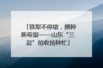 铁犁不停歇，播种新希望——山东“三夏”抢收抢种忙