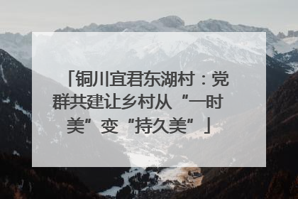 铜川宜君东湖村：党群共建让乡村从“一时美”变“持久美”